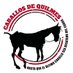 Caballos de Quilmes (@caballos_quilok) Twitter profile photo Caballos de Quilmes (@caballos_quilok) Twitter profile photo