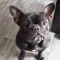 Micka-do (@mickado02215608) 's Twitter Profile