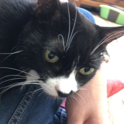 mi860640659's profile picture. メーカー研究開発 | GCS認定コーチ | hintゼミ22夏経営 | 人が育つ聴き方 | 社内コーチ | 坐禅 | 幸せに働く人を増やす▶︎対話による内省プログラム |