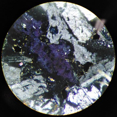 fatalfaith004's profile picture. Stolid Student