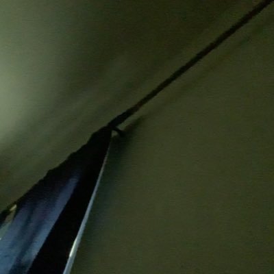 Jay85679203's profile picture. ay