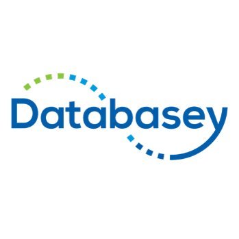 Databasey is a hub for all things fundraising operations from building standards to cleaning up your database.