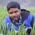Dr. Thirunarayanan Perumal (@agrithirunaray1) Twitter profile photo Dr. Thirunarayanan Perumal (@agrithirunaray1) Twitter profile photo
