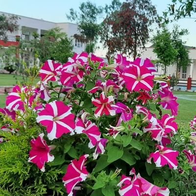 Abhishe93271135's profile picture. 😊😊😊😊