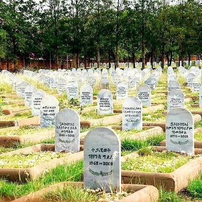 EritreaNews2's profile picture. Your digital peep-hole into Eritrea.