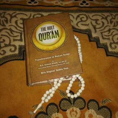 MrResponder's profile picture. Enthusiast crypto