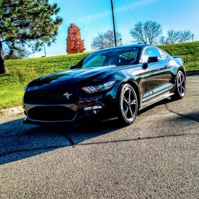 Profile Picture of Digger Dan Alderson (@AldersonDigger) on Twitter