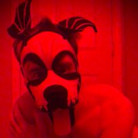 Poe ⏭️ IML Chicago, Ill (@pup_poe_13) 's Twitter Profile