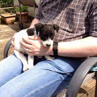 John Warburton (@john_w66) 's Twitter Profile