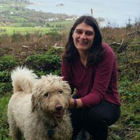 Dr. Niamh Cummins (@cumminsnm) 's Twitter Profile
