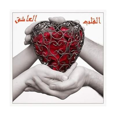 hzMAR7Mrv7HwtAQ's profile picture. ‏لا اله إلا أنت سبحانك إني كنت من الظالمي🇦🇪🇦🇪🇦🇫🇦🇫🇧🇭🇧🇭🇪🇭🇪🇭🇩🇿🇩🇿🇮🇶🇮🇶🇱🇾🇱🇾🇲🇦🇲🇦🇸🇦🇸🇦🇸🇾🇸🇾🇹🇳🇹🇳🇾🇪🇾🇪🇶🇦🇶🇦🇴🇲🇴🇲🇵🇸🇵