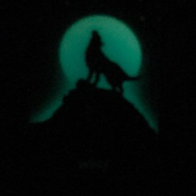 techandmorejp's profile picture. Tech, Sights, Photos, Tips, & Reviews from and about Japan