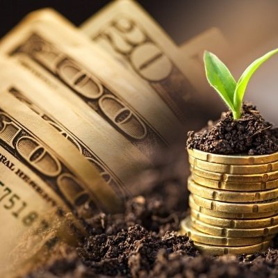 BiznessWolf's profile picture. Frsty#3706 //