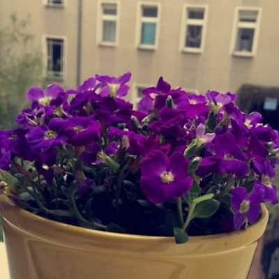 ‏‏‏‏أحب الحياه،