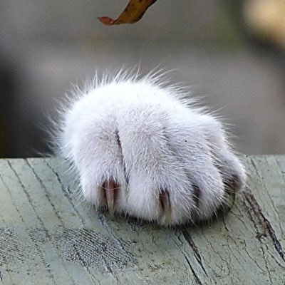 O4czVADN2VxAMy8's profile picture. 