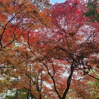 hyung shin park (@parkca77) 's Twitter Profile Photo