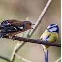 Annie Walsh - @AnnieWa13683459 - Twitter