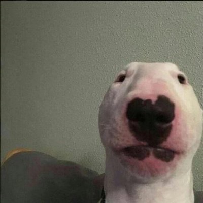 loskuu's profile picture. I'm just walter