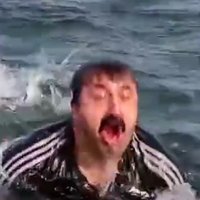 sinopmantısı (@sinopmantisii) Twitter profile photo