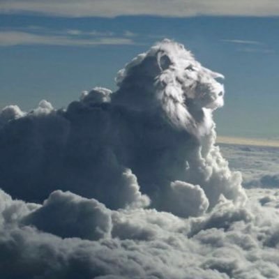 Hazel39053628's profile picture. Awoken, turned of the brain washing machine and seeking the truth behind the smoke screens