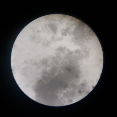 jendeukiemy9's profile picture. 