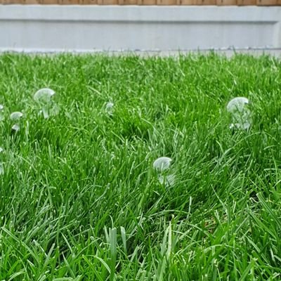 Lisa76_'s profile picture. Early Years