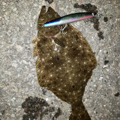 Kou 釣りアカ そうなんですね 自分もこの前コルトスナイパーxr使わせてもらったんですがグリップ太くて重くてしっくりきませんでした ショアスパルタンはグリップ細く軽くて固すぎず 自分にはしっくりきそうです 機会があれば触ってみてください