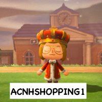 ACNHSHOPPING(@ACNHSHOPPING1) 's Twitter Profileg