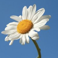 JenReadsRomance (@jenreadsromance) 's Twitter Profile