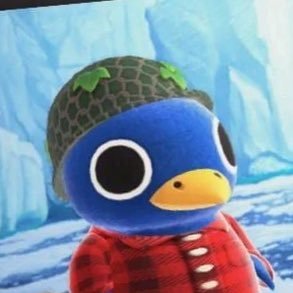 epicbrahman's profile picture. :()