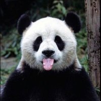 nonam_224 (@nonam_224) Twitter profile photo