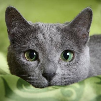 YJ8LcdgXRNgE0ME's profile picture. ママ活したいです！   ママになってくれる方募集してます