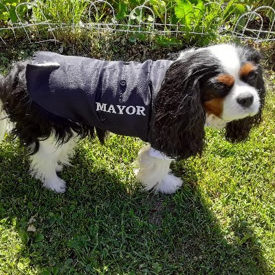 Mayor Murfee