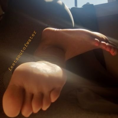 RV3nus's profile picture. A Perfect Imperfection| judgement free zone follow me| RT| I follow back 
IG @feetsoutofwater