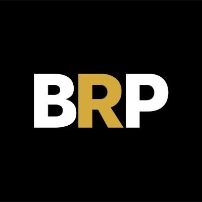 blkrightsparty's profile picture. The Black Rights Party is a political movement of Black American citizens & allies who believe in defending the basic human rights of Africans In America.