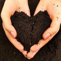 Safe Soil UK(@UkSoil) 's Twitter Profile Photo