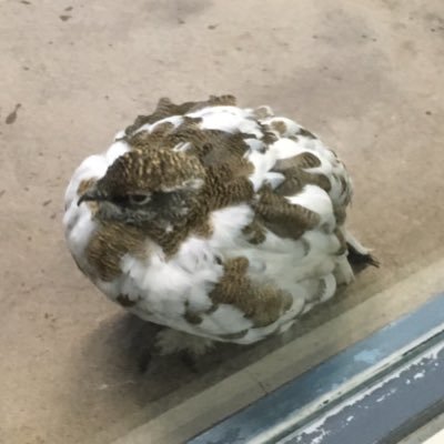 中Dさんのプロフィール画像