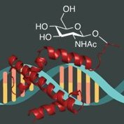 Fehl-Lab Profile