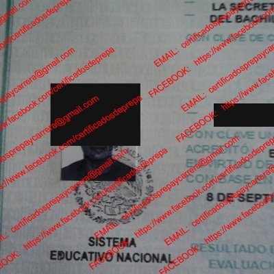 CertificadosG's profile picture. TRAMITE DE CERTIFICADOS, MERIDA, YUCATAN