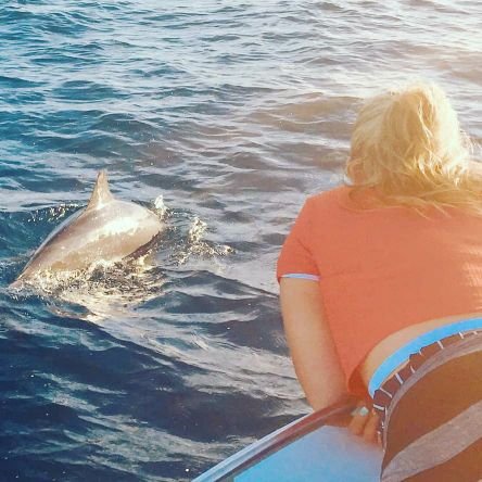 Msc student in @peixotors lab at @RSRC_Kaust 🦈🐚🐡🦠