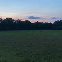 whatdefinesme (@whatdefinesme1) 's Twitter Profile