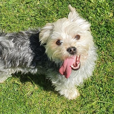 elboby1995's profile picture. 🖖