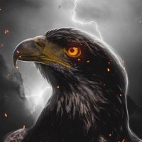 Halcon_pty_2016 (@alconpty2015) 's Twitter Profile