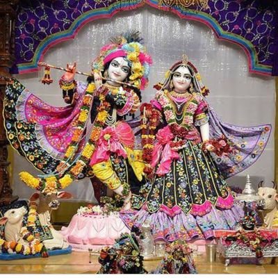 Alpha60020's profile picture. 