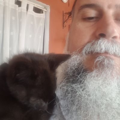 LPAssuquiqui's profile picture. 