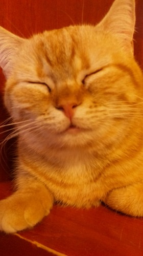 mayyft491012's profile picture. 25年度から新たなスタート！ 最近の気になりごと・・ 旅行/カフェ/料理教室/読書/ヨガ/骨盤矯正            ポジティブシンキングで頑張ります～＼(^o^)／