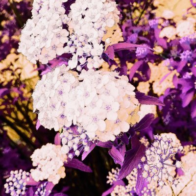 Ryo72309159's profile picture. 「二次創作」嗜んで**年
#NOMORE無断生成AI
教育って大切だ
人が嫌がる事をするのはいじめであり犯罪です
騙す方が悪い
GrokやChatGPTは生成AI(無断収集)です