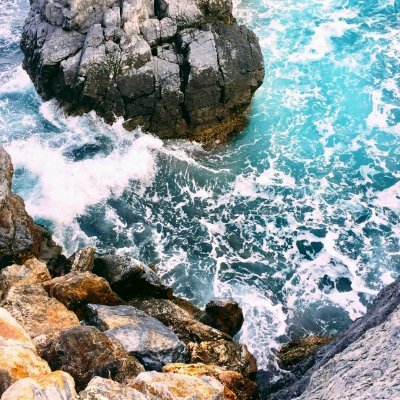 Jacamza's profile picture. Carpe Diem