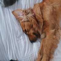 jim christmas (@_jimdun) 's Twitter Profile