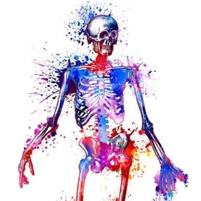 fizyoterapievi's profile picture. 